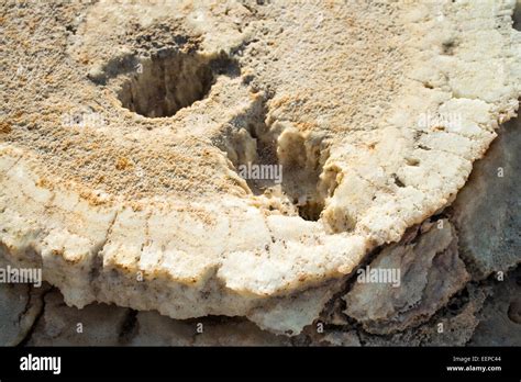 Salt Formations on Saltwater Lake, Dallol, Danakil Desert, Ethiopia ...