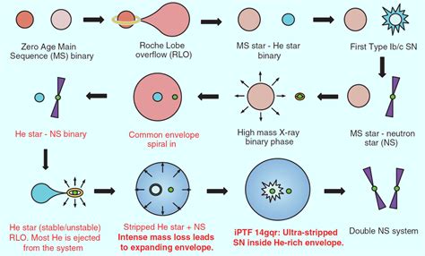 Ultra-Stripped Supernova Produces Neutron Star Binary | Astronomy | Sci ...