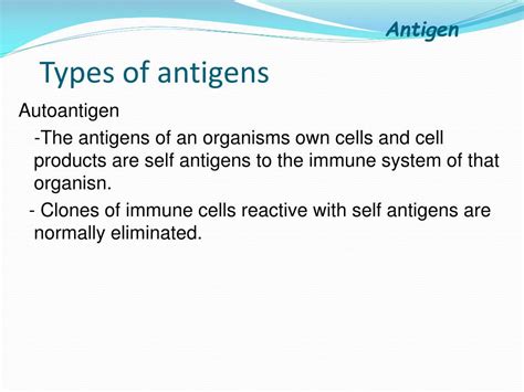 PPT - Antigen PowerPoint Presentation, free download - ID:5475074