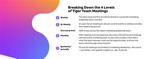 The Definitive Guide to Tiger Teams | ClickUp