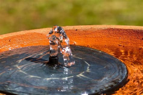 The 8 Best Solar Bird Bath Bubblers - Hummingbirds Info