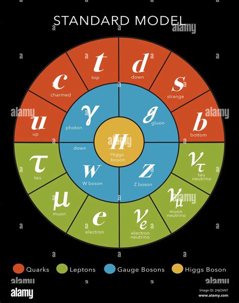 A diagram of the Standard Model to show particle physics. Particle ...