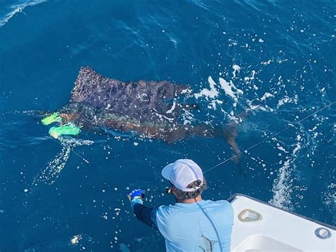 Home - Tamarindo Sportfishing