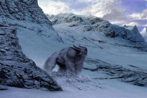 Mysterious Footprint of Yeti Sighted in the Nepal Himalaya - Trek In Nepal