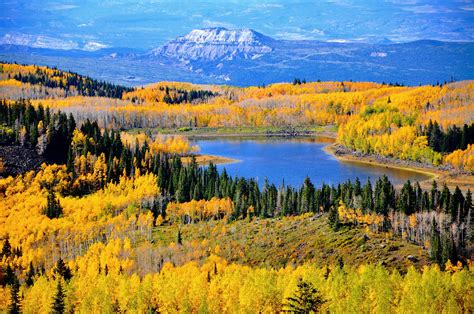 Fall Leaves on the Grand Mesa in Colorado. Went tubing in November of ...