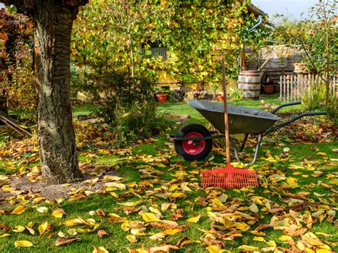 Beginner’s Guide To Fall Gardening – Autumn Garden Tips And Projects