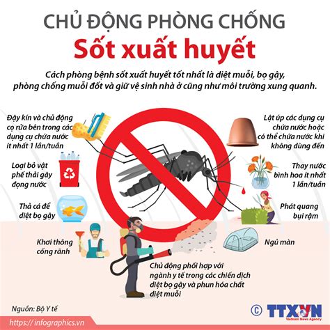 TPHCM: Tăng cường biện pháp phòng, chống dịch sốt xuất huyết