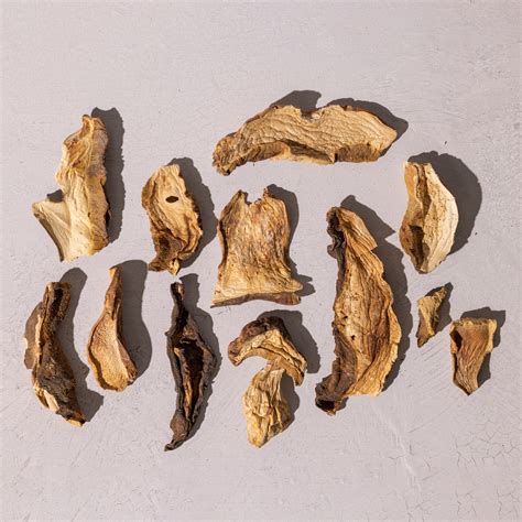 Porcini Dried Mushrooms – KS Mushroom Store