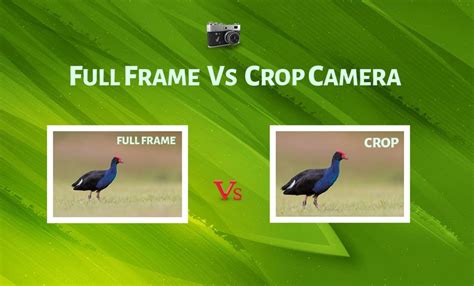 Full Frame Vs Crop Camera - Differences & Which is Best? - PhotographyAxis