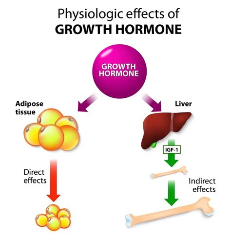 Growth Hormone Therapy | risks, cost, side effects