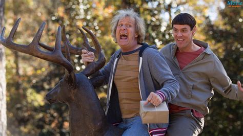 Dumb And Dumber Wallpapers - Wallpaper Cave