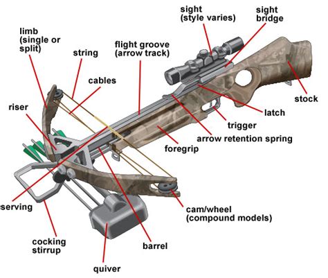 Barnett Crossbow Replacement Parts | Reviewmotors.co