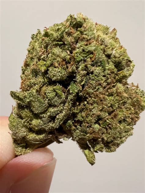 Super Silver Haze - Strain Review - HighThailand