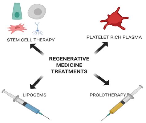 Stem Cell Therapy