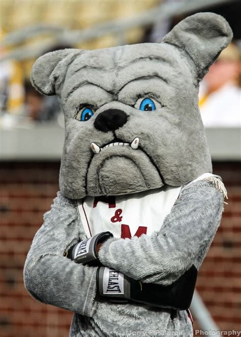 Alabama A & M Bulldogs mascot