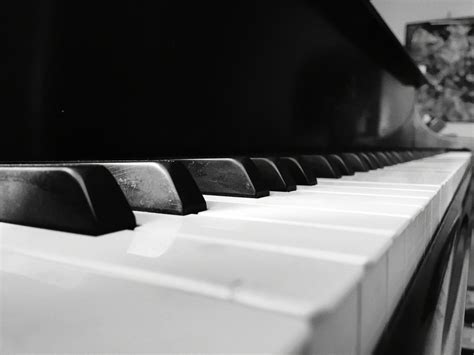 Artsy Black and White Piano