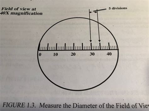 Solved Microscope lab with a few questions. Measure | Chegg.com