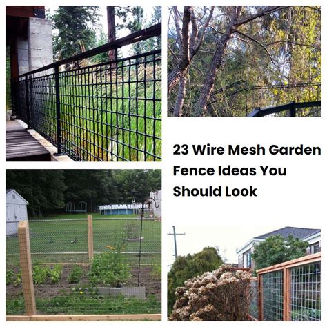 23 Wire Mesh Garden Fence Ideas You Should Look | SharonSable