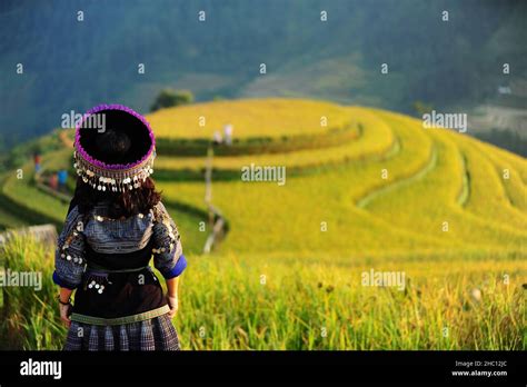 Mu Cang Chai Rice Terraces Stock Photo - Alamy