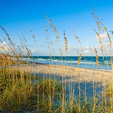 The Top 7 Things To Do in Florida for Nature Lovers in 2024 - Be ...