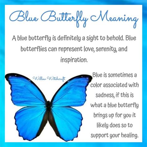 Blue Butterfly Meaning in Willow Witchcraft