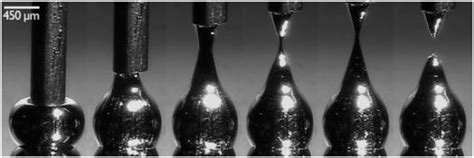 A schematic of sonication methods to prepare LM particles: a) probe ...