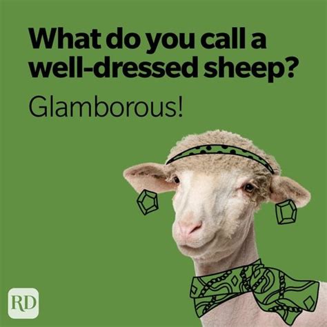 36 Sheep Puns You Haven't Herd Before | Reader's Digest