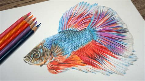 how to draw a realistic fish Fish real draw - Step by Step Drawing