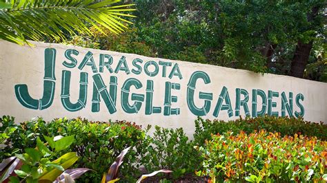 Sarasota Jungle Gardens in Sarasota, Florida | Expedia