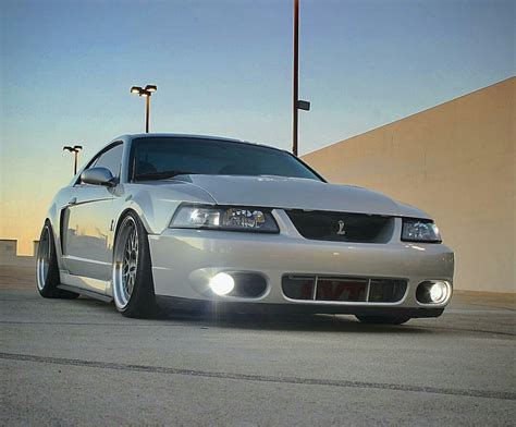 2003/2004 SVT Mustang Cobra Terminator | Mustang cobra, Ford mustang ...