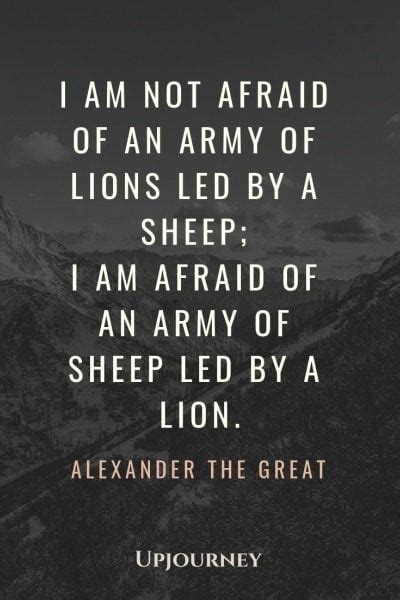 25 BEST Alexander The Great Quotes (On Success, Knowledge..)