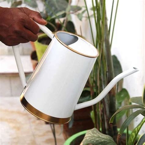 Metal Water Can at Rs 175/piece | Metal Watering Can in Moradabad | ID ...