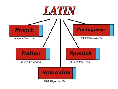 It’s a Foundation For any Language Study! - LivelyLatin