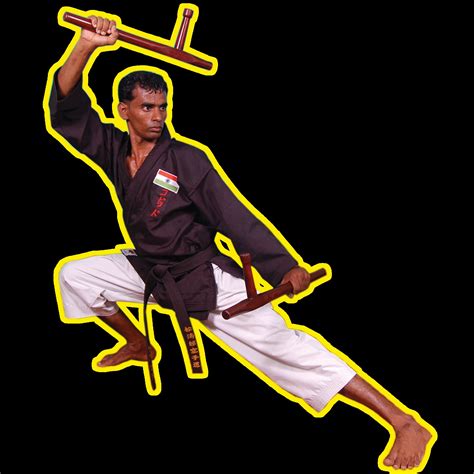 Karate Wkf