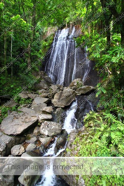 So Many Things to Do in Rio Grande Puerto Rico | Puerto Rico ...