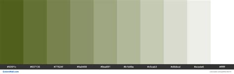 Tints XKCD Color dark olive green #3c4d03 hex | Hex color codes, Green ...