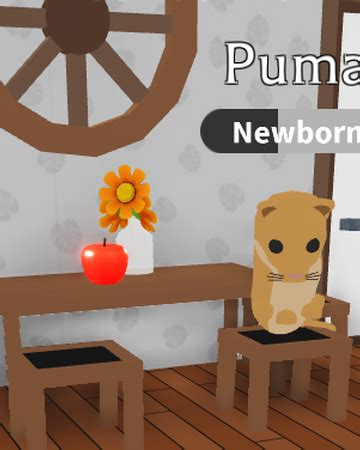 Pet Furniture Roblox Adopt Me Pet Room Ideas