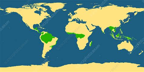 Map Showing Location Of Tropical Rainforests Rainforests Of The World ...