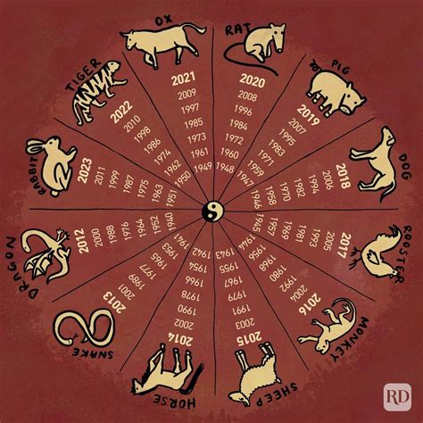 The 12 Chinese Zodiac Signs Explained & What They Mean For You 2024