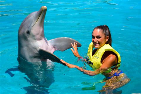 Dolphin Trainer Program | Dolphinaris.com