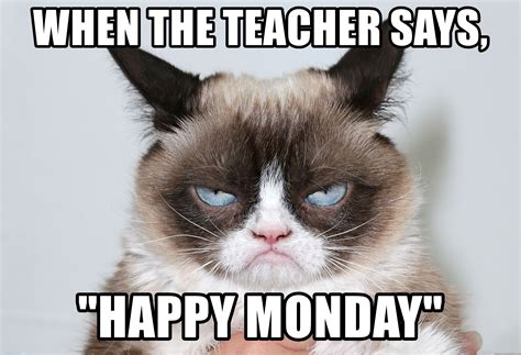 Me As Grumpy Cat - When The teacher says, "Happy Monday" | Grumpy cat ...