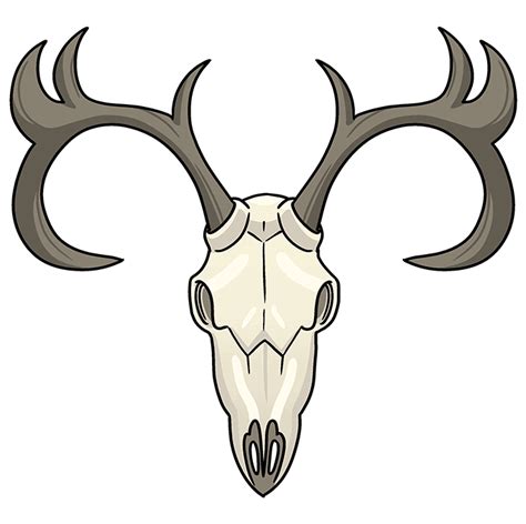 How to Draw a Deer Skull Step 10 Moose Skull, Deer Skull Art, Deer ...