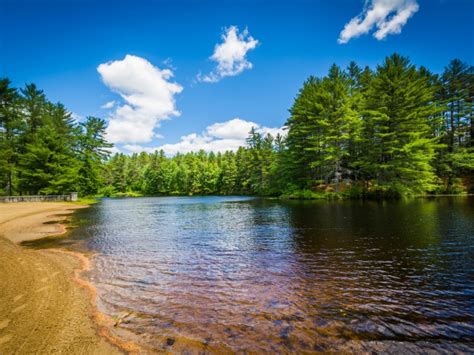 13 Best State & National Parks in New Hampshire (2022) – Trips To Discover