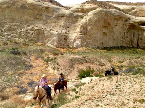 Camping and Horses : PARIA RIVER RANCH AND CAMPGROUND