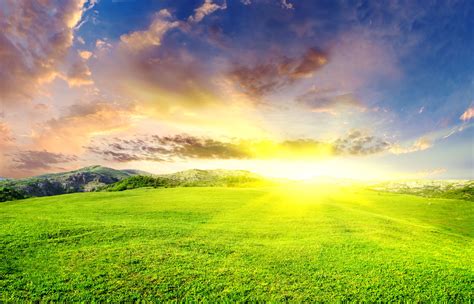 field, Grass, Sunset HD Wallpapers / Desktop and Mobile Images & Photos