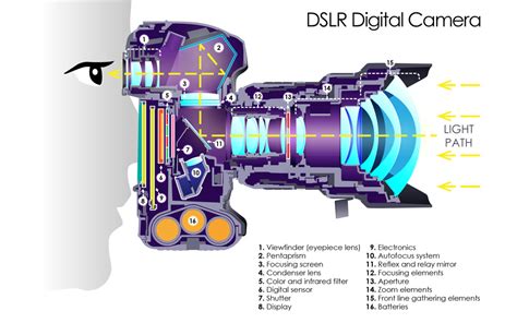 This Cutaway Diagram Shows The Inside Of A DSLR | ePHOTOzine