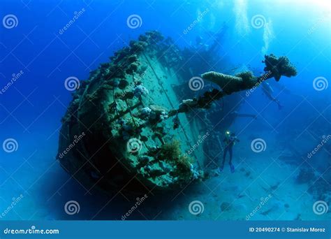 Diving in the Red Sea stock photo. Image of water, depth - 20490274