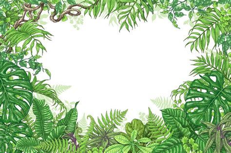 Amazon Rainforest Frame