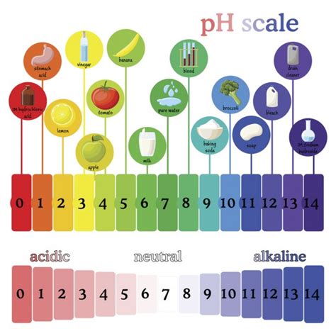 Acid-Base Balance and How Saliva Protects Teeth - Preserve Your ...