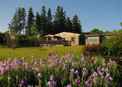 COVID-19: Loyola House Retreat & Training Centre becomes shelter for ...